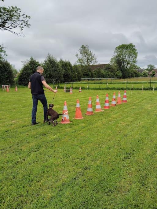 Gite Au Ptit Canin Moyenneville  エクステリア 写真