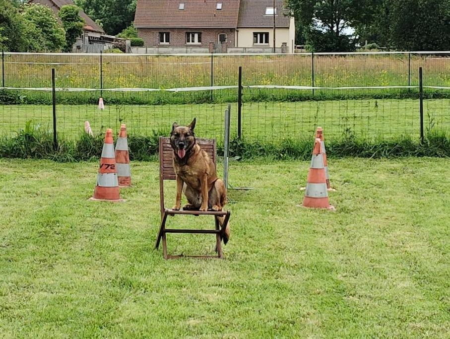 Gite Au Ptit Canin Moyenneville  エクステリア 写真